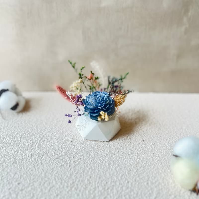 七夕畢業禮物 教師節 情人禮物特價商品(現貨)-擴香永生花小盆栽