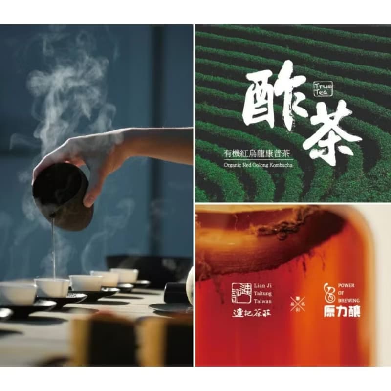 【源天然】幸福台九線 有機紅烏龍康普茶禮盒