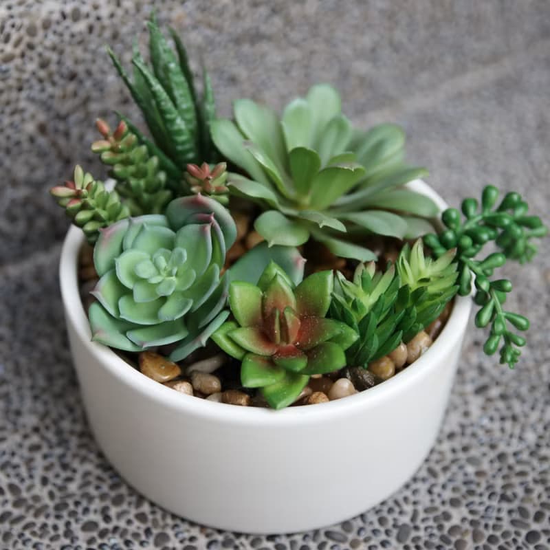 【綠意盎然】綠色多肉植物組合(大) | 佈置 |人造植物 | 陶瓷盆栽