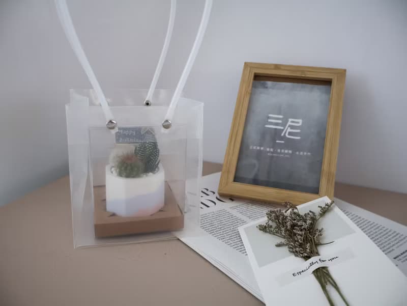 迷你多肉組盆•水泥植栽 / 多肉植物 / 仙人掌 / 生日禮物 /