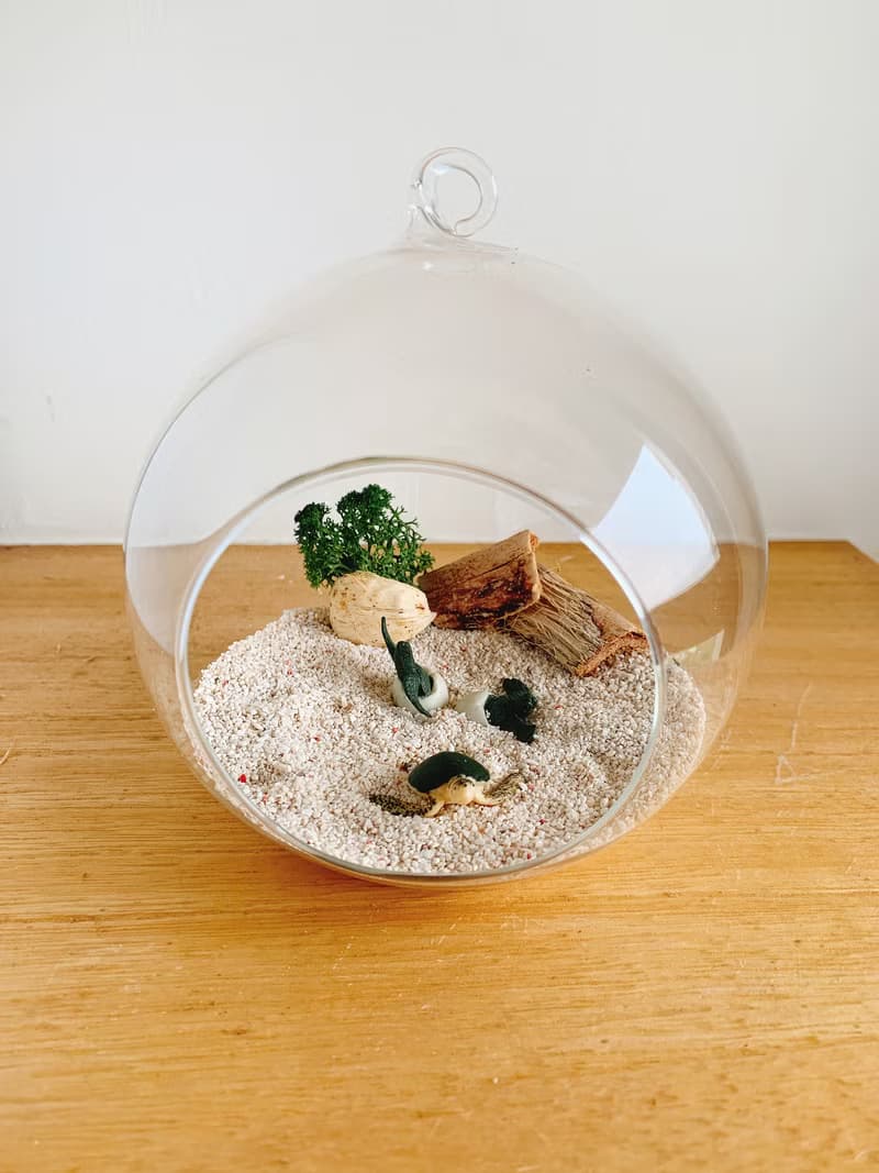 純自然 小海龜 diy組 玻璃球 海灘 海龜孵化 送禮 小物 diy ocean