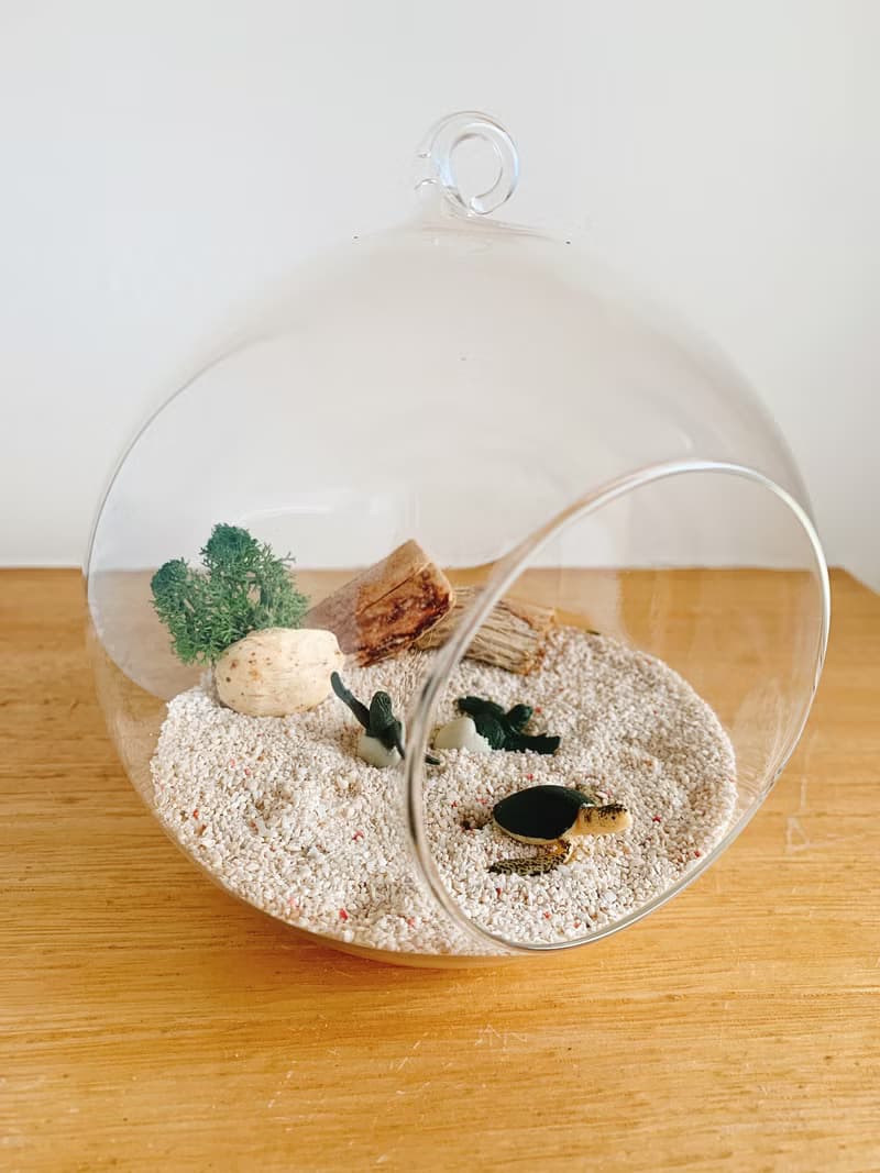 純自然 小海龜 diy組 玻璃球 海灘 海龜孵化 送禮 小物 diy ocean