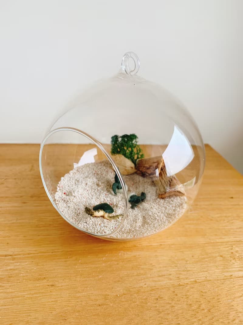 純自然 小海龜 diy組 玻璃球 海灘 海龜孵化 送禮 小物 diy ocean
