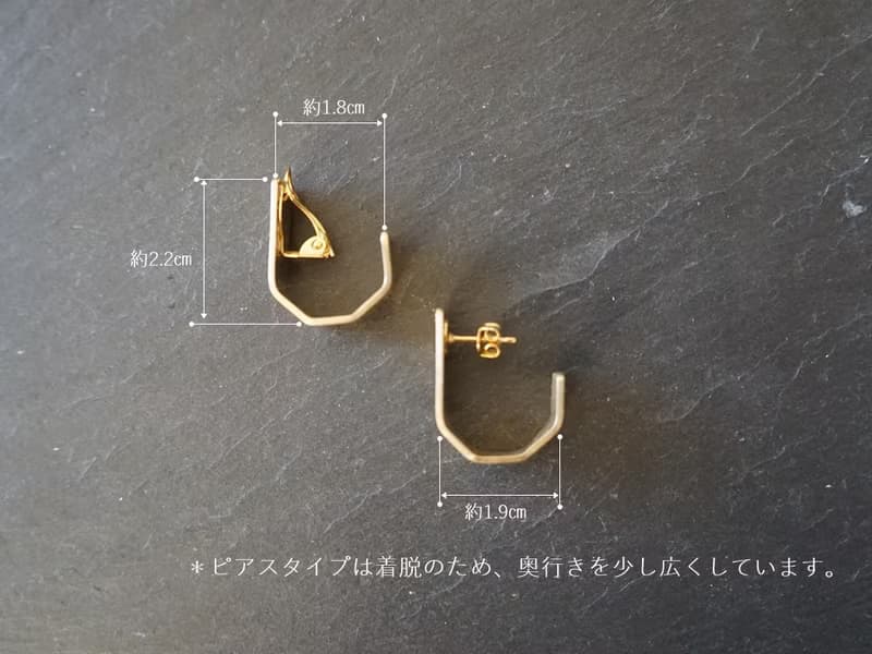 echo　蝶バネイヤリング仕様