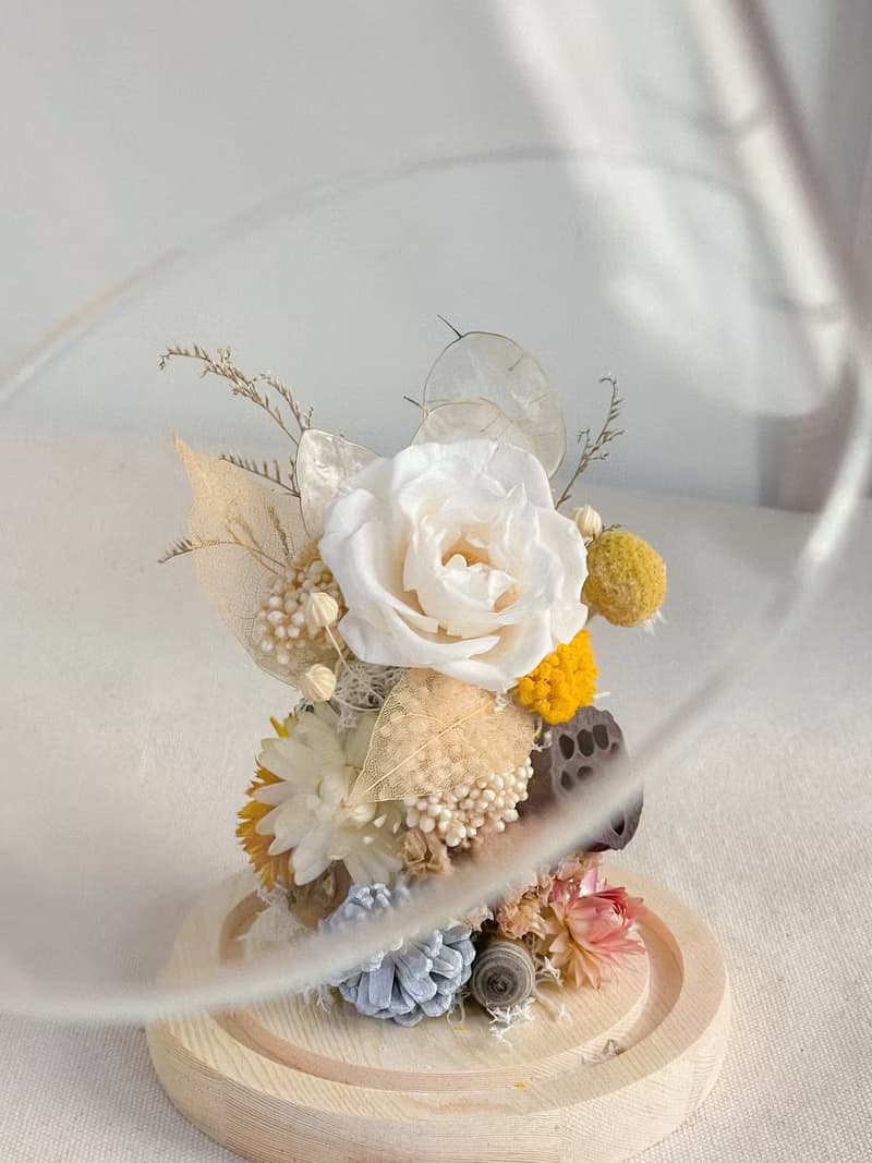 桔梗之語 x 永生乾燥花玻璃罩