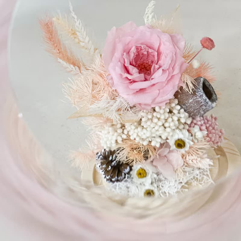 桔梗之語 x 永生乾燥花玻璃罩