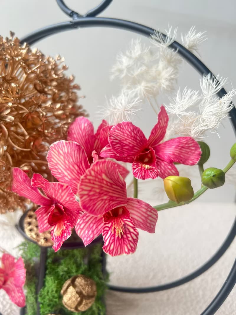 花好月圓—永生蘭花 盆栽 新年花藝
