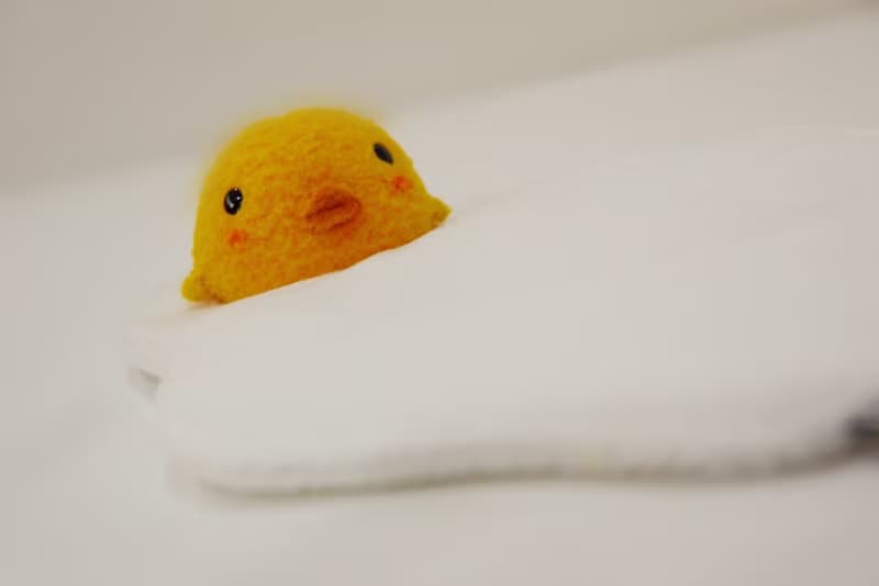 Bucute立體吸水杯墊/畢業禮物/情人禮物/獨家發售/生日禮物/交換禮物/