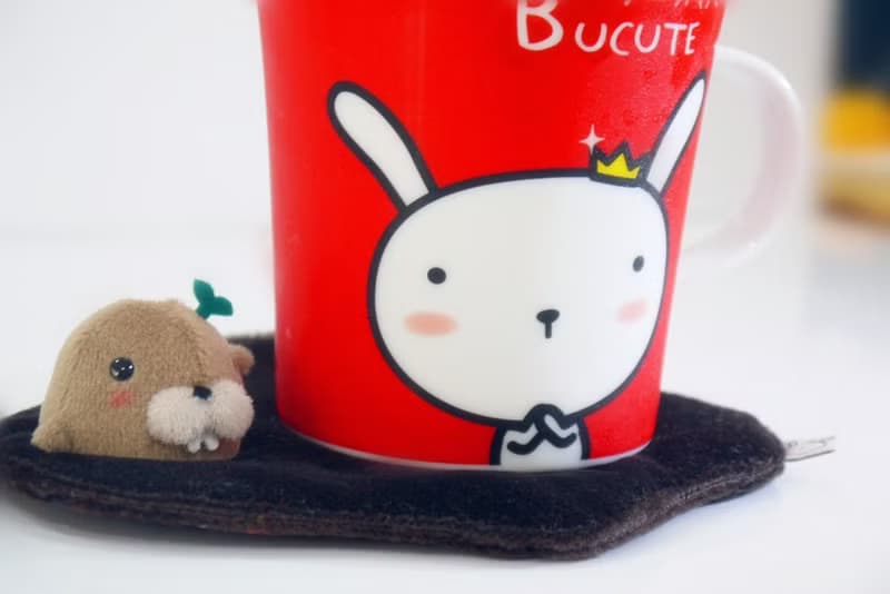 Bucute立體吸水杯墊/畢業禮物/情人禮物/獨家發售/生日禮物/交換禮物/