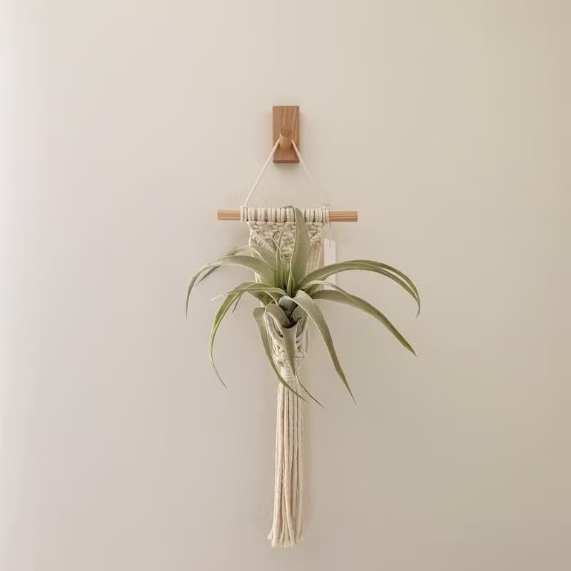 Macrame 小物 盆栽 空鳳 原木掛飾 編織 吊飾