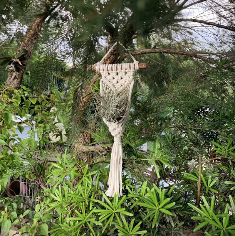 Macrame 小物 盆栽 空鳳 原木掛飾 編織 吊飾