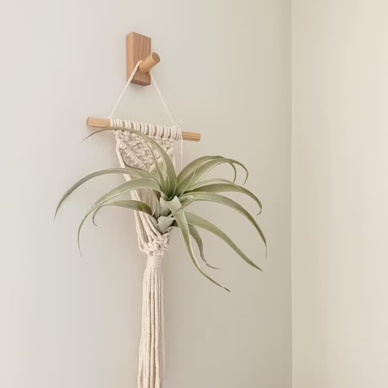 Macrame 小物 盆栽 空鳳 原木掛飾 編織 吊飾