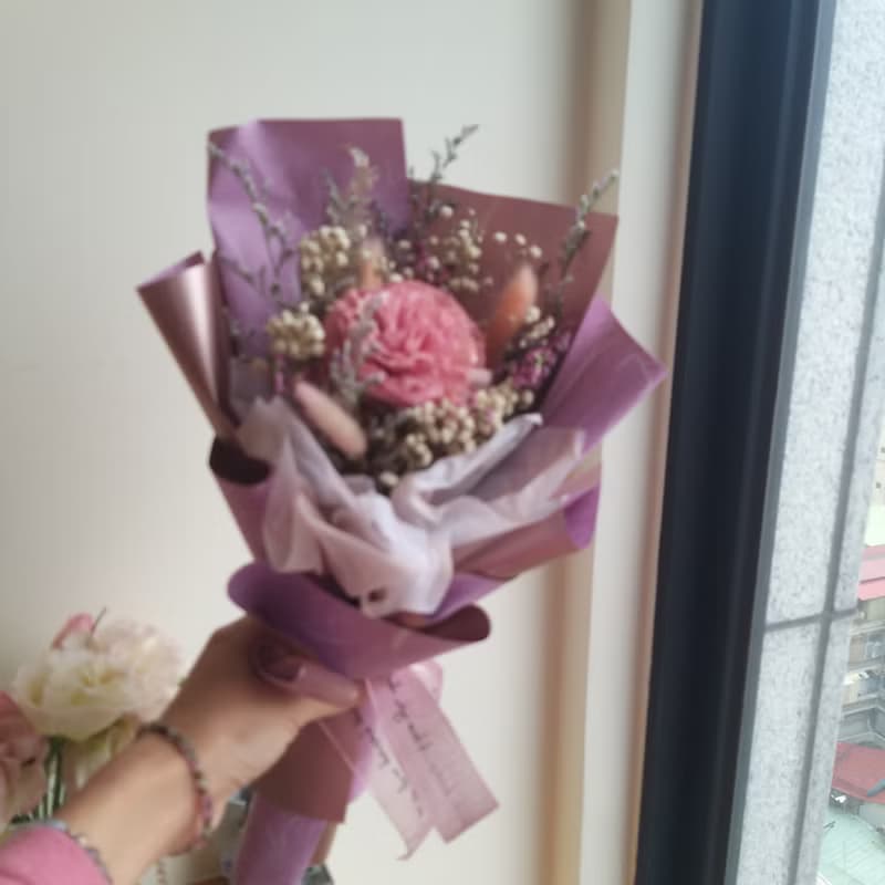 母親節禮物 康乃馨花束/ 索拉康乃馨花束/康乃馨香氛花束