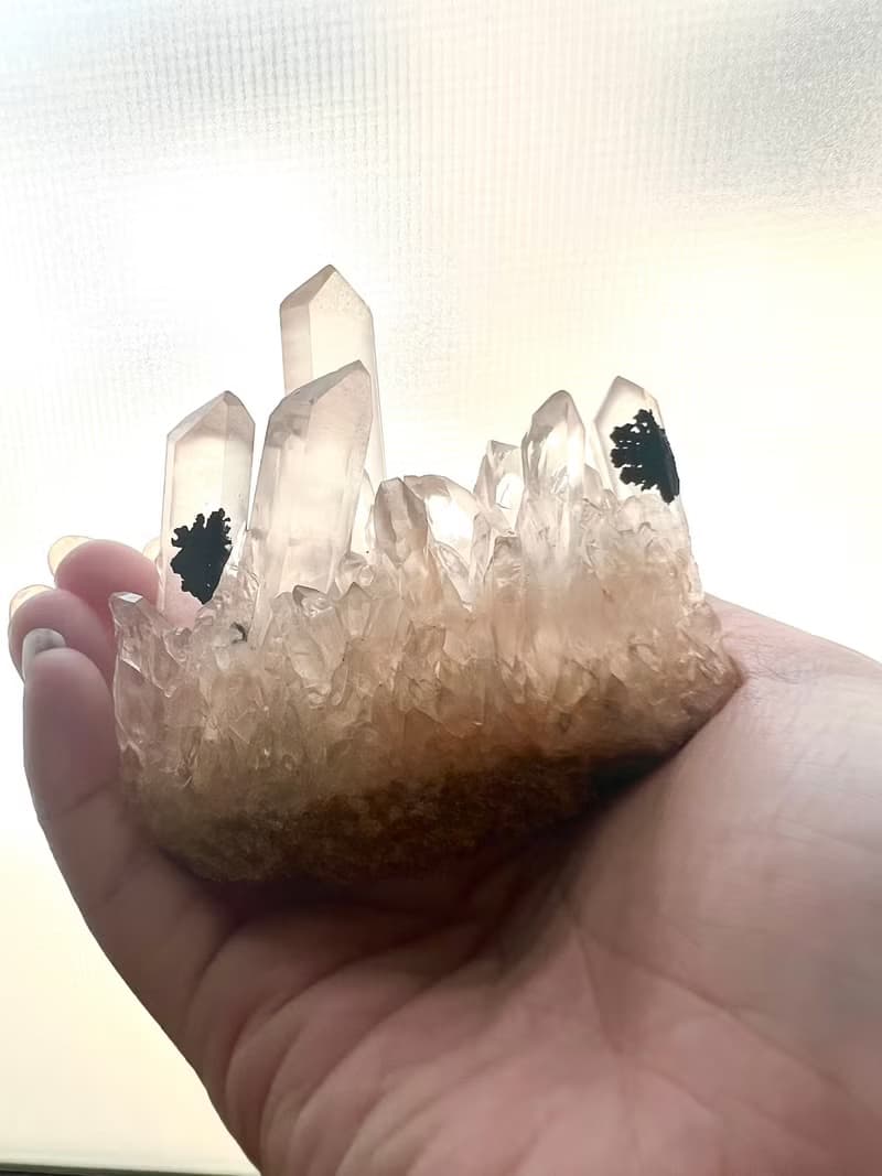 雙黑碧璽花白水晶共生晶簇/淨化/療癒/靜心/擺件/可站立