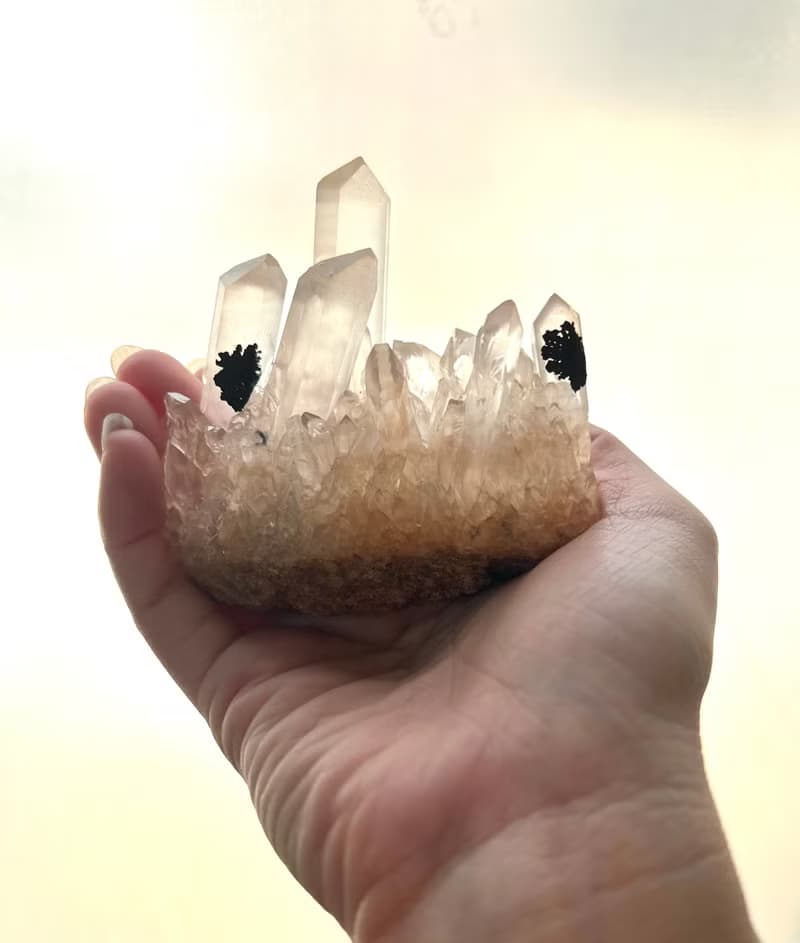 雙黑碧璽花白水晶共生晶簇/淨化/療癒/靜心/擺件/可站立