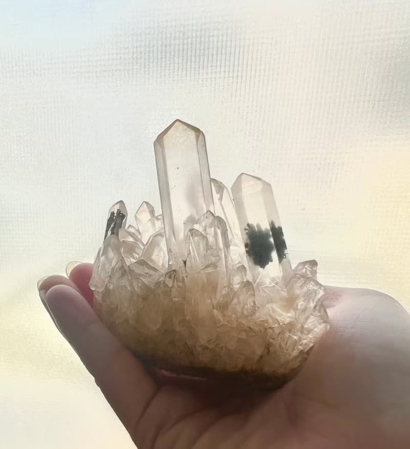 雙黑碧璽花白水晶共生晶簇/淨化/療癒/靜心/擺件/可站立