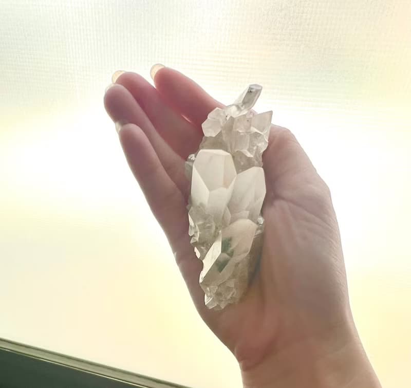 雙黑碧璽花白水晶共生晶簇/淨化/療癒/靜心/擺件/可站立