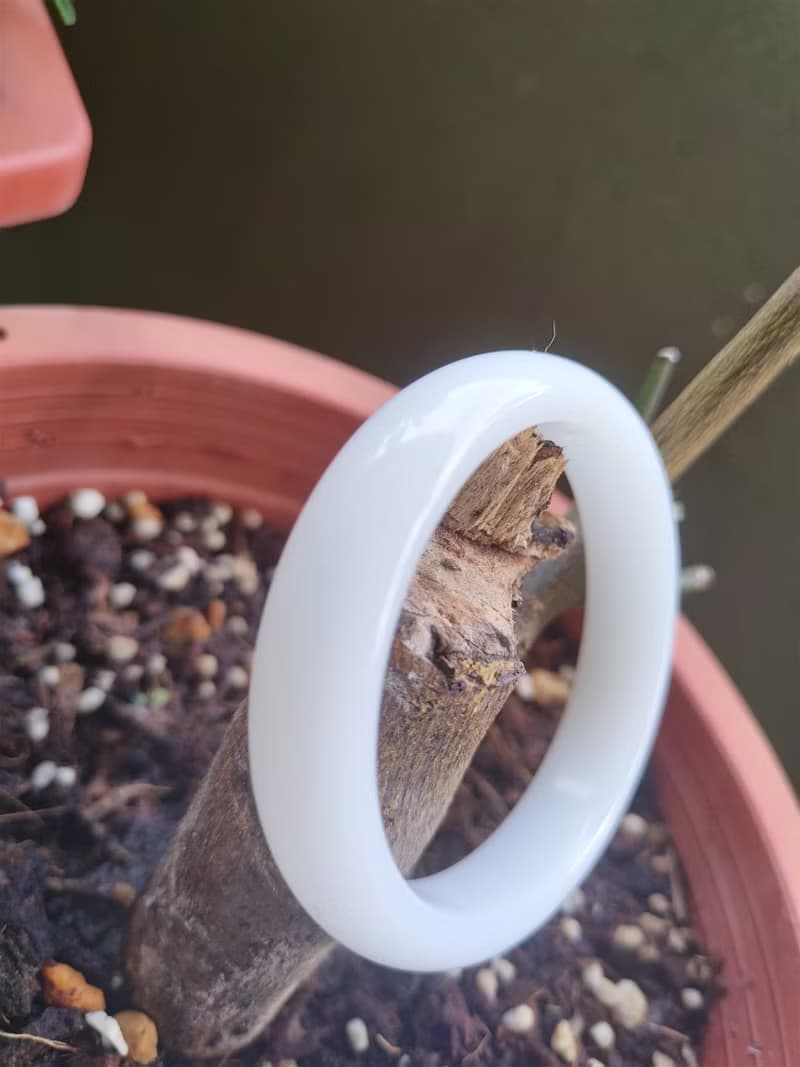 Miss feng天然石-白玉和田手鐲