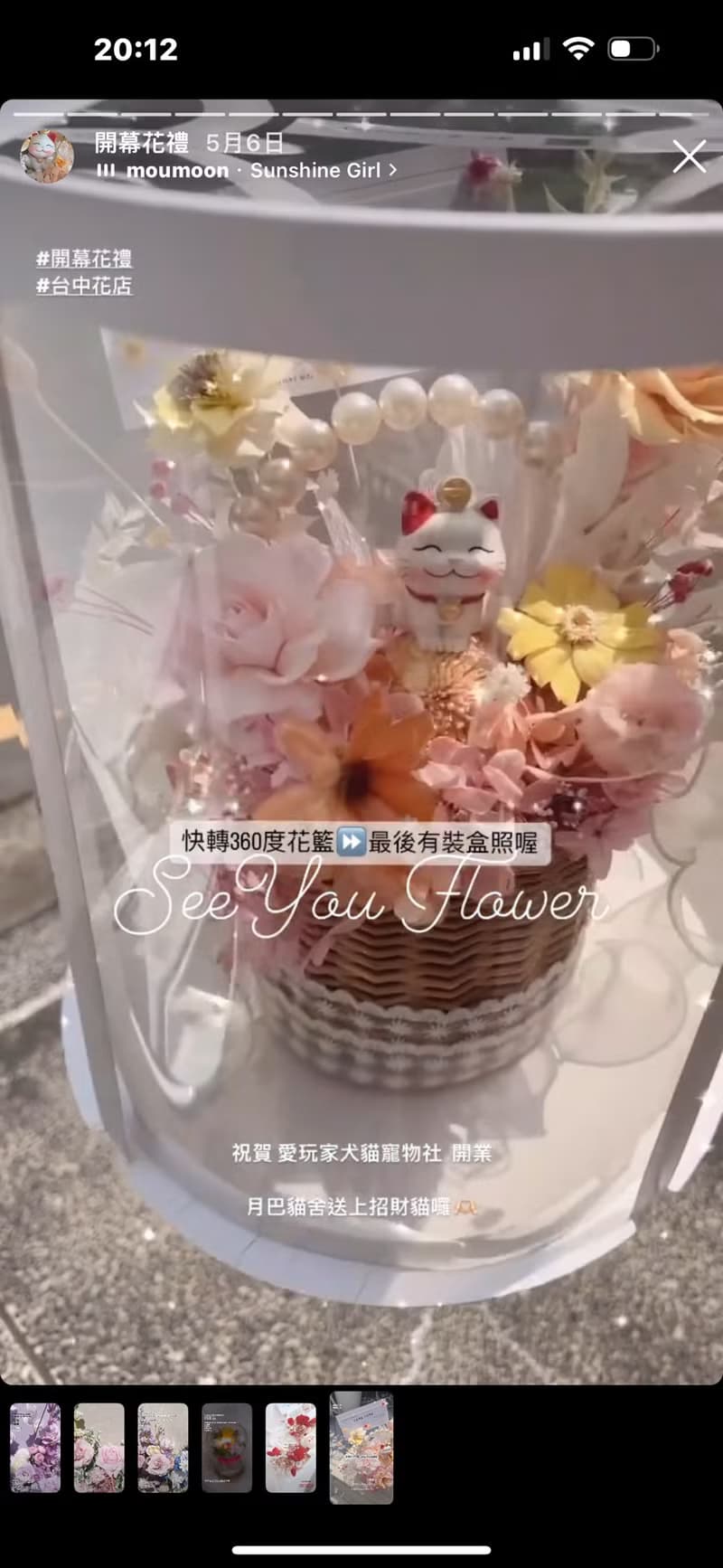SeeYou • Bright Life系列 招財貓 不凋永生花開幕花籃