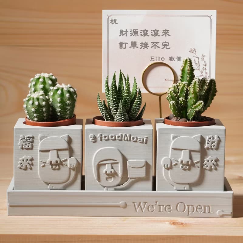 【開幕禮2】 | We're Open 開運摩艾 | 多肉植物水泥盆栽4件組