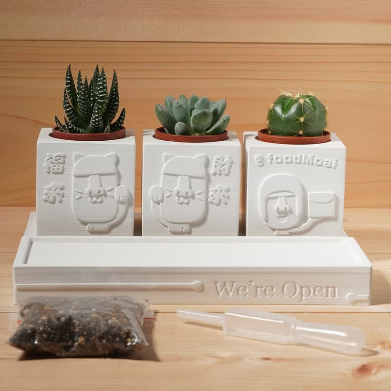 【開幕禮2】 | We're Open 開運摩艾 | 多肉植物水泥盆栽4件組