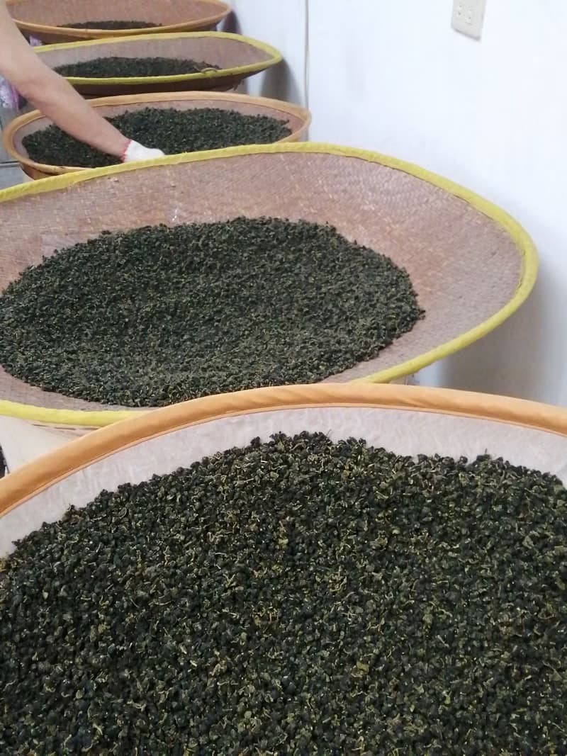 飲真茶 阿里山 當季冬茶 烏龍茶 三十年手作烘焙 重焙火 渾厚