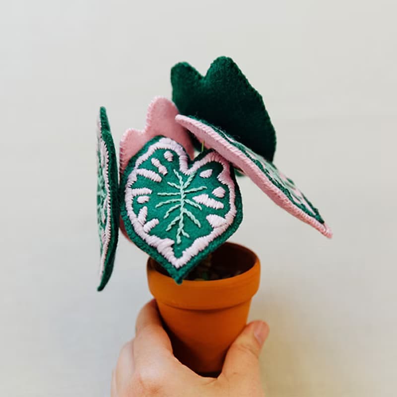 【俄羅斯刺繡】小後院彩葉芋. 書籍材料包. 繡線刺繡