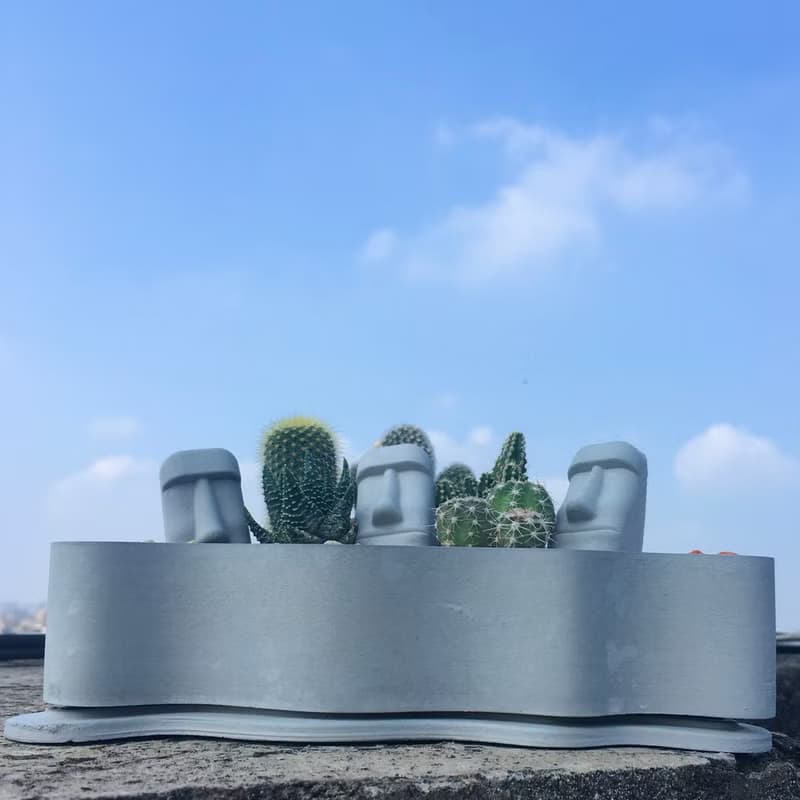 【摩艾島嶼】迷你仙人掌造景DIY 室內植栽 手作禮物 生日禮物