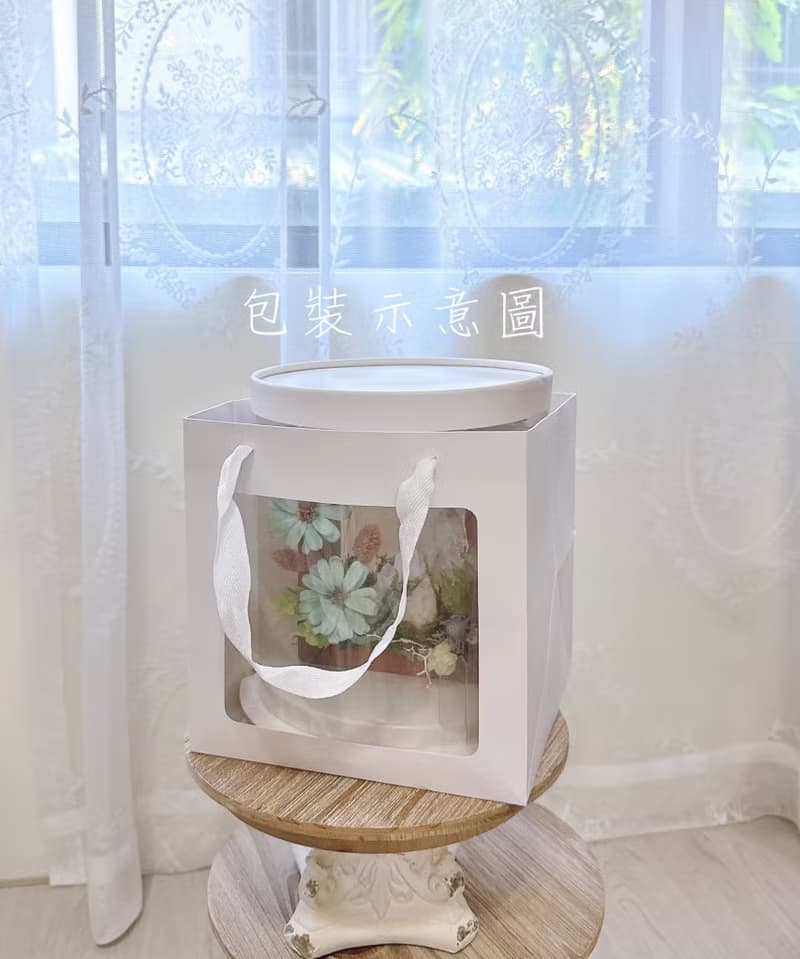 家的想像 紫水晶鎮宅小屋。不用澆水的植物 桌面小風景