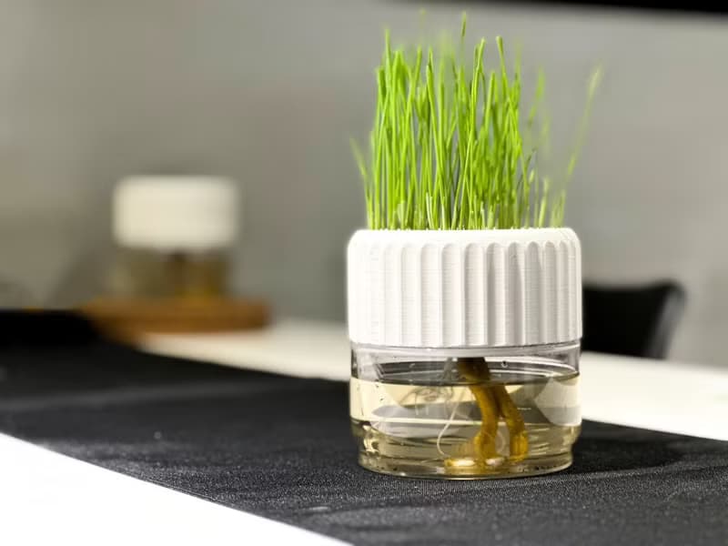 PRINTING LIFE / 免澆水環保盆栽 貓草 送禮 禮盒 生日禮物 植栽