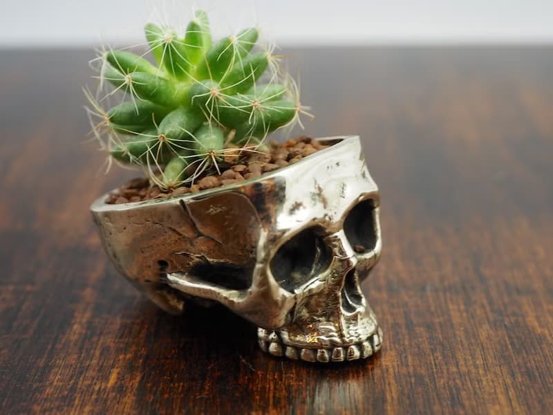 Skull pots cactus small potted plants in White bronze silver color
