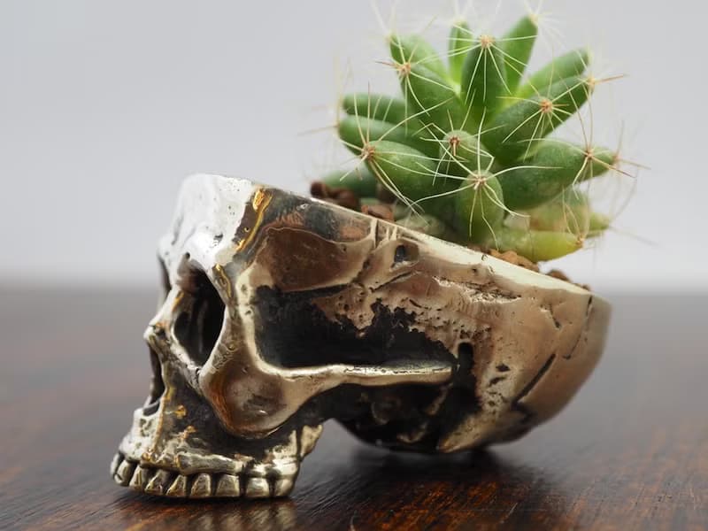 Skull pots cactus small potted plants in White bronze silver color