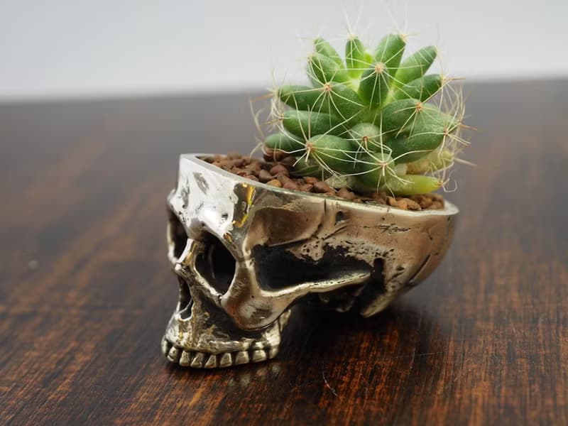 Skull pots cactus small potted plants in White bronze silver color