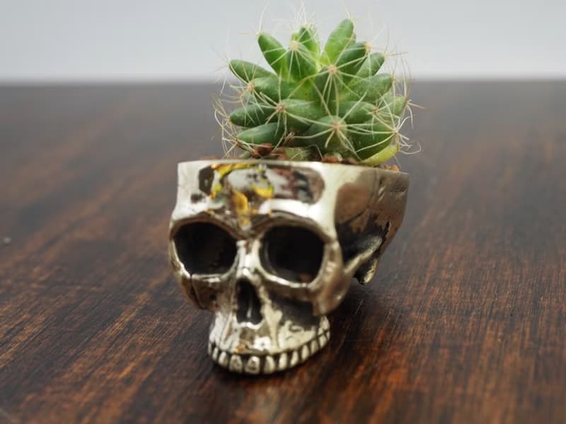 Skull pots cactus small potted plants in White bronze silver color