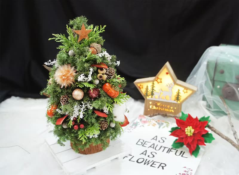 【童趣‧新鮮雪松聖誕樹】