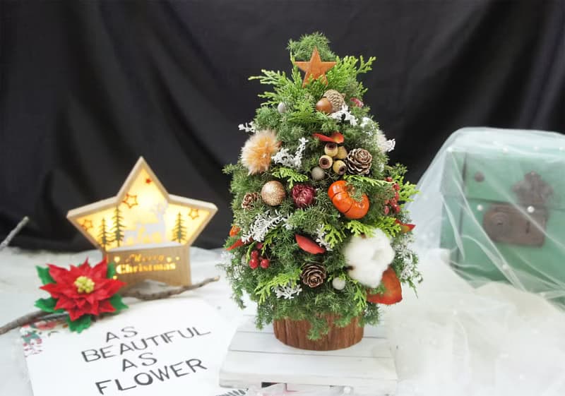 【童趣‧新鮮雪松聖誕樹】