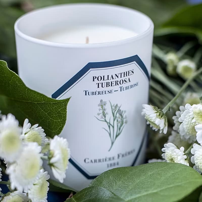Carrière Frères 晚香玉香氛蠟燭