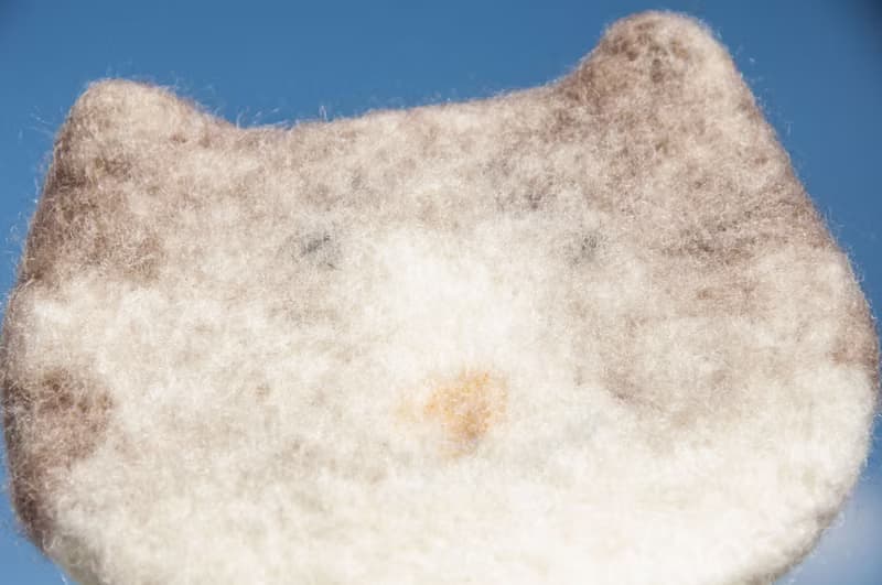 情人節禮物 聖誕交換禮物 森林系羊毛氈杯墊 動物杯墊-貓咪吸水墊