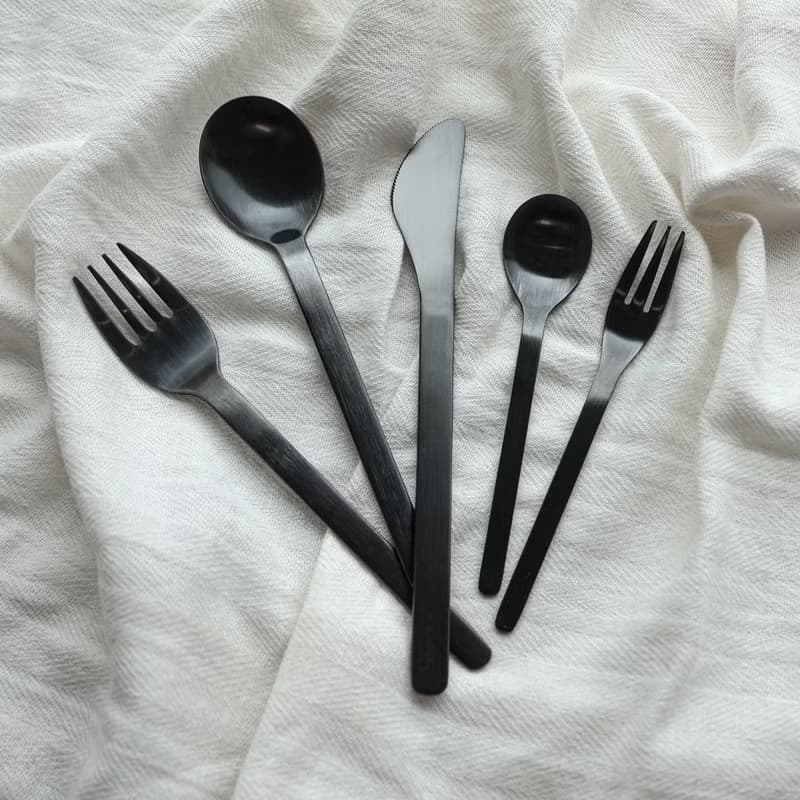 日本【SALUS 佐藤金屬】機內用餐具(黑)