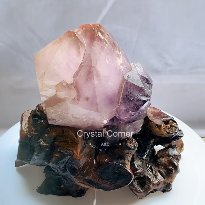 Crystal Corner 隅石丨雙尖紫骸骨骨幹城堡水晶1丨淨化丨療癒水晶