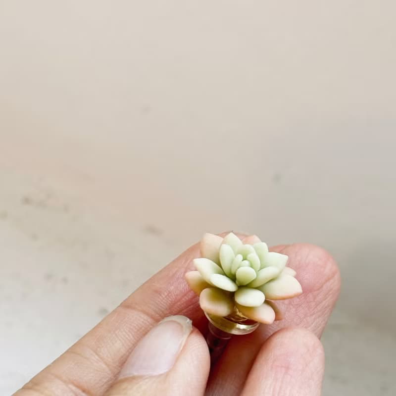 微型 多肉黏土耳環/耳夾 耳飾 飾品 貼耳款
