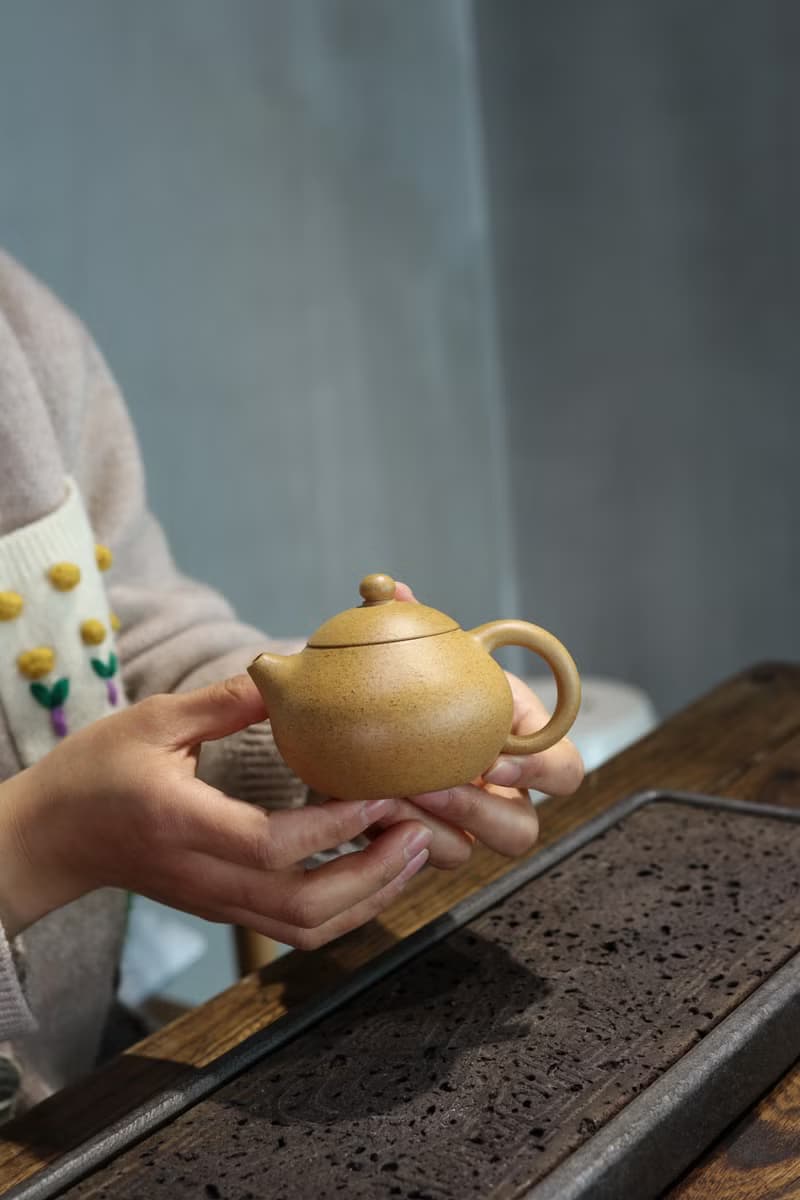 送禮紫砂壺茶壺文旦 全手工  段泥 160ml 14孔 全手工  形态圆润