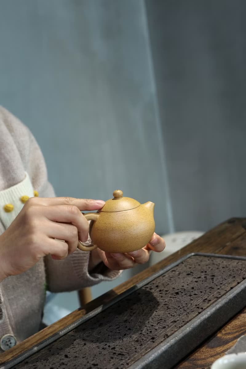 送禮紫砂壺茶壺文旦 全手工  段泥 160ml 14孔 全手工  形态圆润