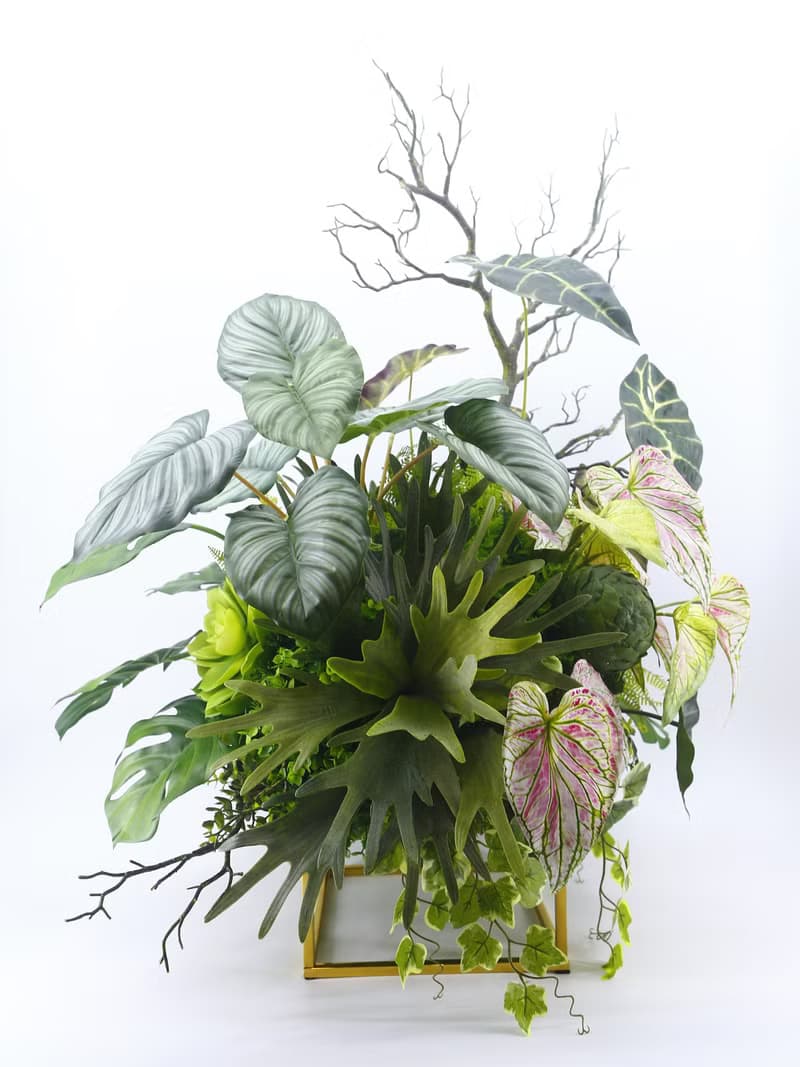 鹿角蕨觀葉植物組合裝置 免運專人配送限雙北市 其餘地區需補運費