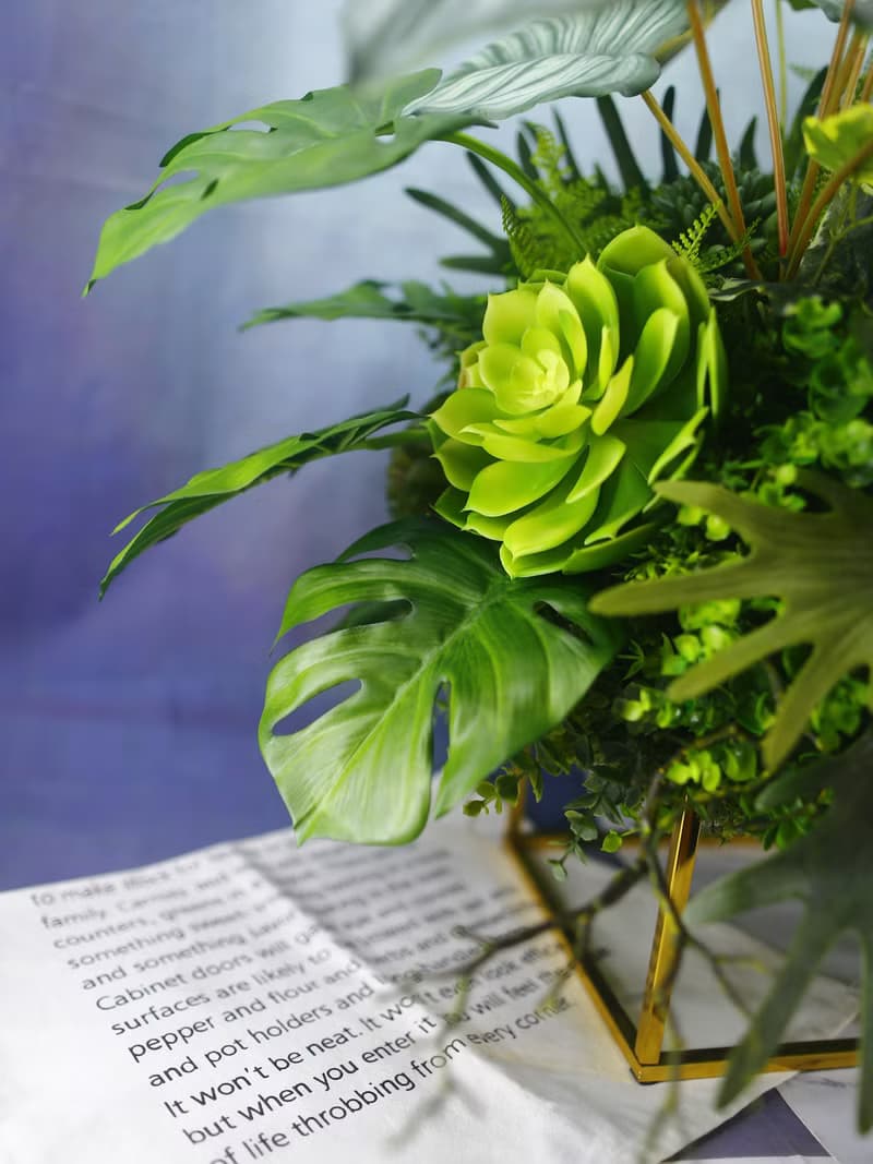 鹿角蕨觀葉植物組合裝置 免運專人配送限雙北市 其餘地區需補運費