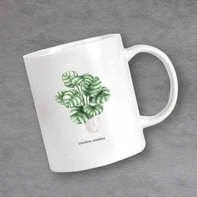 植物 青蘋果竹芋 觀葉植物 馬克杯