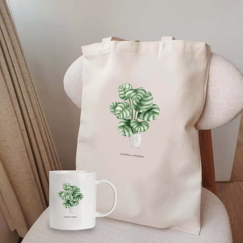 植物 青蘋果竹芋 觀葉植物 馬克杯