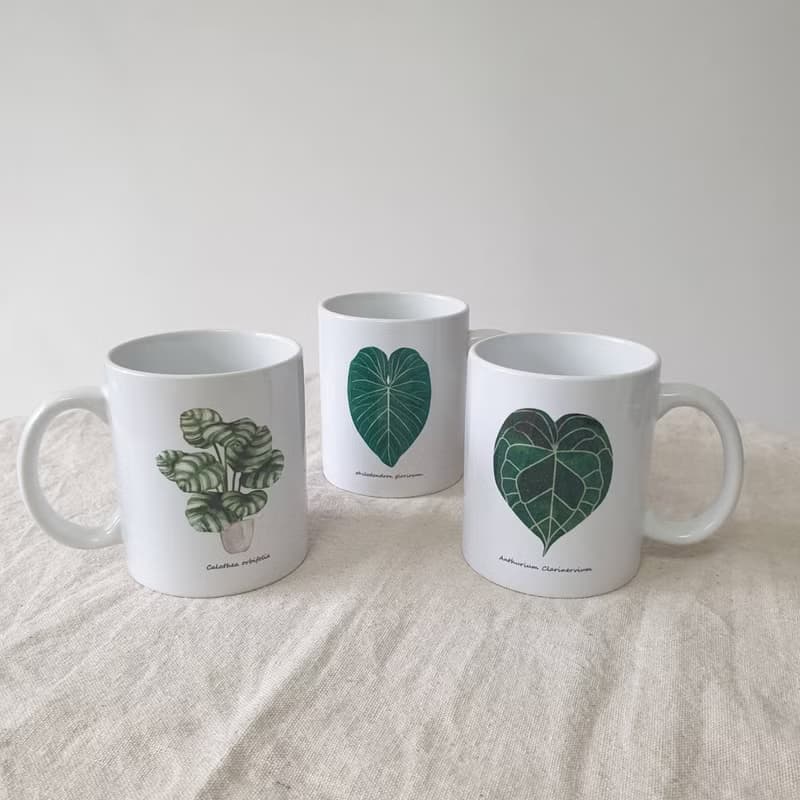 植物 青蘋果竹芋 觀葉植物 馬克杯