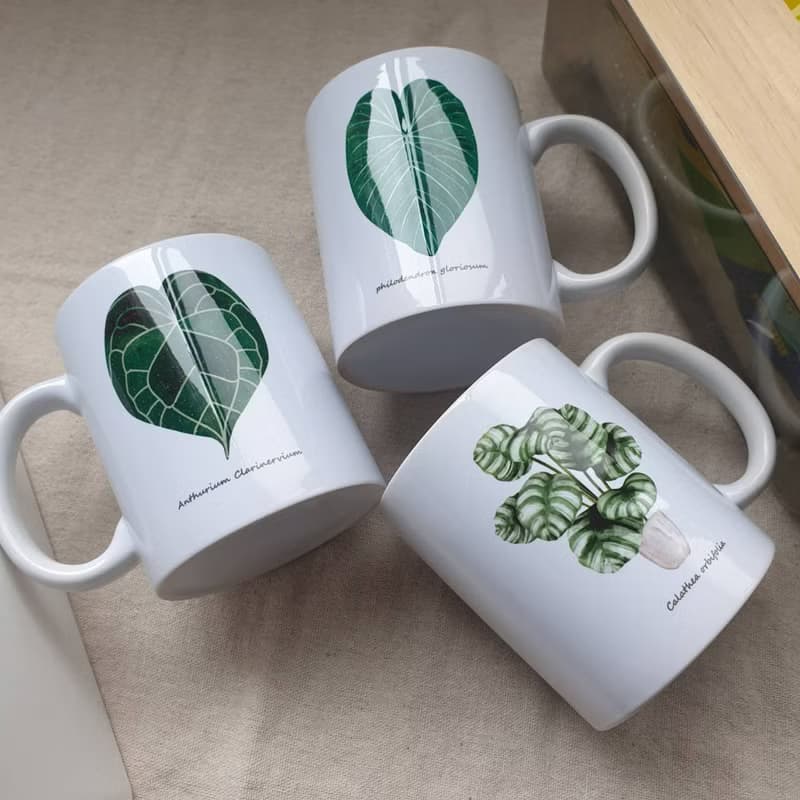 植物 青蘋果竹芋 觀葉植物 馬克杯