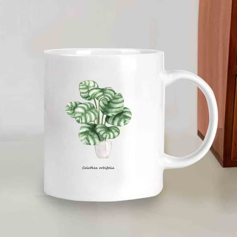 植物 青蘋果竹芋 觀葉植物 馬克杯